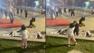 Viral Video: చాలు చాల్లే.. ఇక లే..! మొద్దు నిద్రలో పాండా.. అమ్మాయి రాకతో ఏం జరిగిందంటే.. వీడియో