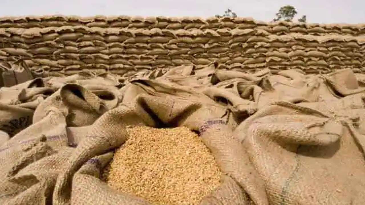 Bans Wheat Export: దేశంలో గోధుమ సంక్షోభం లేదు.. ఎగుమతులపై నిషేధం ఉందన్న కేంద్రం..