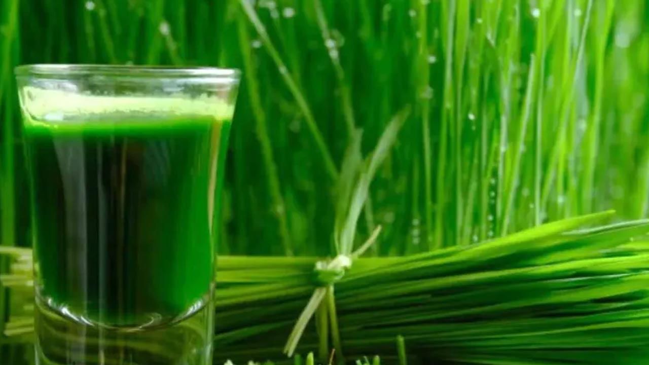 Wheatgrass Benefits: వీట్‌గ్రాస్‌లో అద్భుత ఔషధ గుణాలు.. ఈ వ్యాధులకు చక్కటి పరిష్కారం..!