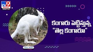 పాలు-పుచ్చకాయ కలిపి తింటున్నారా ?? అయితే మీరు ప్రమాదంలో పడినట్లే