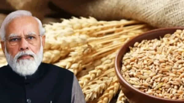 మాది సమానత్వం, సామాజిక న్యాయం.. గోధుమ ఎగుమతుల బ్యాన్పై పశ్చిమ దేశాలకు భారత్ కౌంటర్..