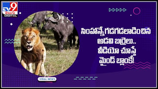 Wedding Viral Video: సన్నికల్లు తొక్కమంటే.. ఏకంగా పెళ్లికూతురినే..! నెట్టింట నవ్వులు పూయిస్తున్న ఫన్నీ వీడియో..