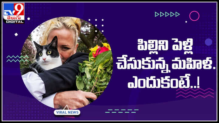woman cat Marriage: పిల్లిని పెళ్లి చేసుకున్న మహిళ.. ఎందుకంటే ఆ కంఫర్ట్ వేరే అంటూ.. woman cat Marriage: పిల్లిని పెళ్లి చేసుకున్న మహిళ.. ఎందుకంటే ఆ కంఫర్ట్ వేరే అంటూ..