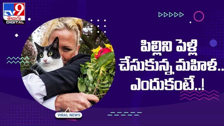 ఇదేం విడ్డూరం !! పిల్లిని పెళ్లి చేసుకున్న మహిళ.. ఎందుకంటే ?? ఇదేం విడ్డూరం !! పిల్లిని పెళ్లి చేసుకున్న మహిళ.. ఎందుకంటే ??