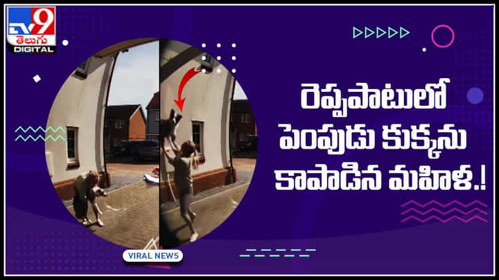 Woman-Dog: జస్ట్ మిస్..! రెప్పపాటులో పెంపుడు కుక్కను కాపాడిన మహిళ.! వైరల్ అవుతున్న వీడియో.. Woman-Dog: జస్ట్ మిస్..! రెప్పపాటులో పెంపుడు కుక్కను కాపాడిన మహిళ.! వైరల్ అవుతున్న వీడియో..