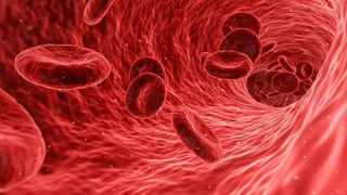 Healthy Tips: ఆకలిని తగ్గించే ఈ 5 ఆహారాలను తినండి..బెల్లీ ఫ్యాట్ వేగంగా కరిగిపోతుంది!