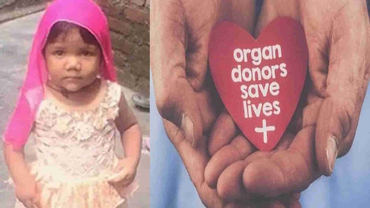 Organ Donation: తాను మరణిస్తూ ఐదుగురి జీవితంలో వెలుగులు నింపిన ఆరేళ్ళ చిన్నారి..