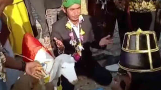 Viral Video: ఇదెక్కడి మాస్ రివేంజ్ మావ.. పాపం అమ్మాయిని ఎగిరి తన్నిన కొండముచ్చు.. వీడియో వైరల్..