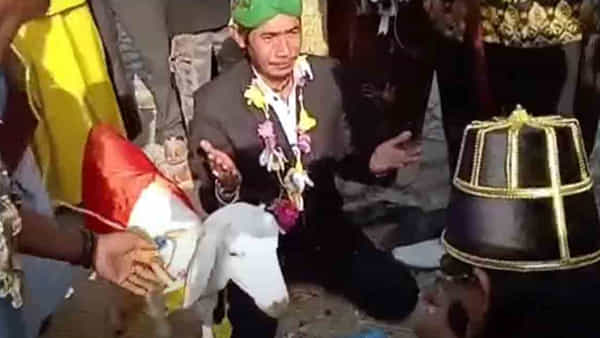 Viral Video: కట్నం ఇచ్చి మరీ ఆడమేకతో కల్యాణం.. కారణమేంటో తెలిస్తే మైండ్ బ్లాక్ అయిపోద్ది..