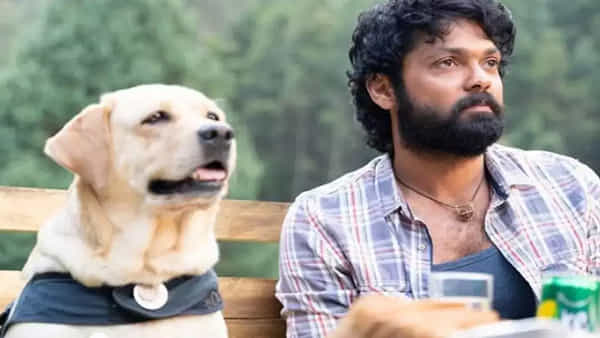777 Charlie Movie:777 చార్లి డిజిటల్ రైట్స్ ఆ ఓటీటీకే.. స్ట్రీమింగ్ ఎప్పటినుంచంటే..