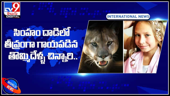 Lion attack girl: సింహం దాడిలో తీవ్రంగా గాయపడిన తొమ్మిదేళ్ళ చిన్నారి.. చివరకి గెలిచి నిలిచిందిగా.. Lion attack girl: సింహం దాడిలో తీవ్రంగా గాయపడిన తొమ్మిదేళ్ళ చిన్నారి.. చివరకి గెలిచి నిలిచిందిగా..