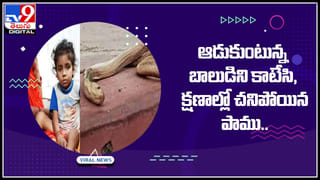 Railway track: రైల్వే క్రాసింగ్‌ వద్ద వాహనదారుల నిర్లక్ష్యం.. నెట్టింట షాకింగ్ వీడియో..