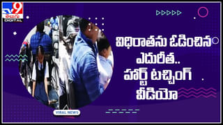 Shocking: బాబోయ్‌ ఎండలు..భరించలేక ఓ పాము భలేగా చేసింది..! తెలిస్తే షాకే!!