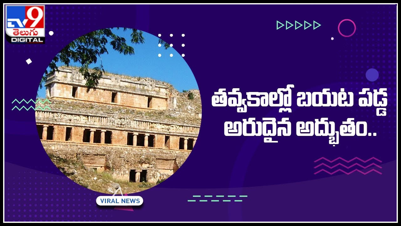 Rare miracle: తవ్వకాల్లో బయట పడ్డ అరుదైన అద్భుతం.. ఏకంగా నగరమే.. కావాలంటే మీరే చూడండి..