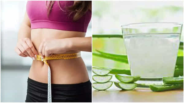 Aloe Vera: కలబందతో బెల్లీ ఫ్యాట్ హాంఫట్.. ఇలా చేస్తే వారాల్లోనే కొవ్వు కరిగిపోతుంది..