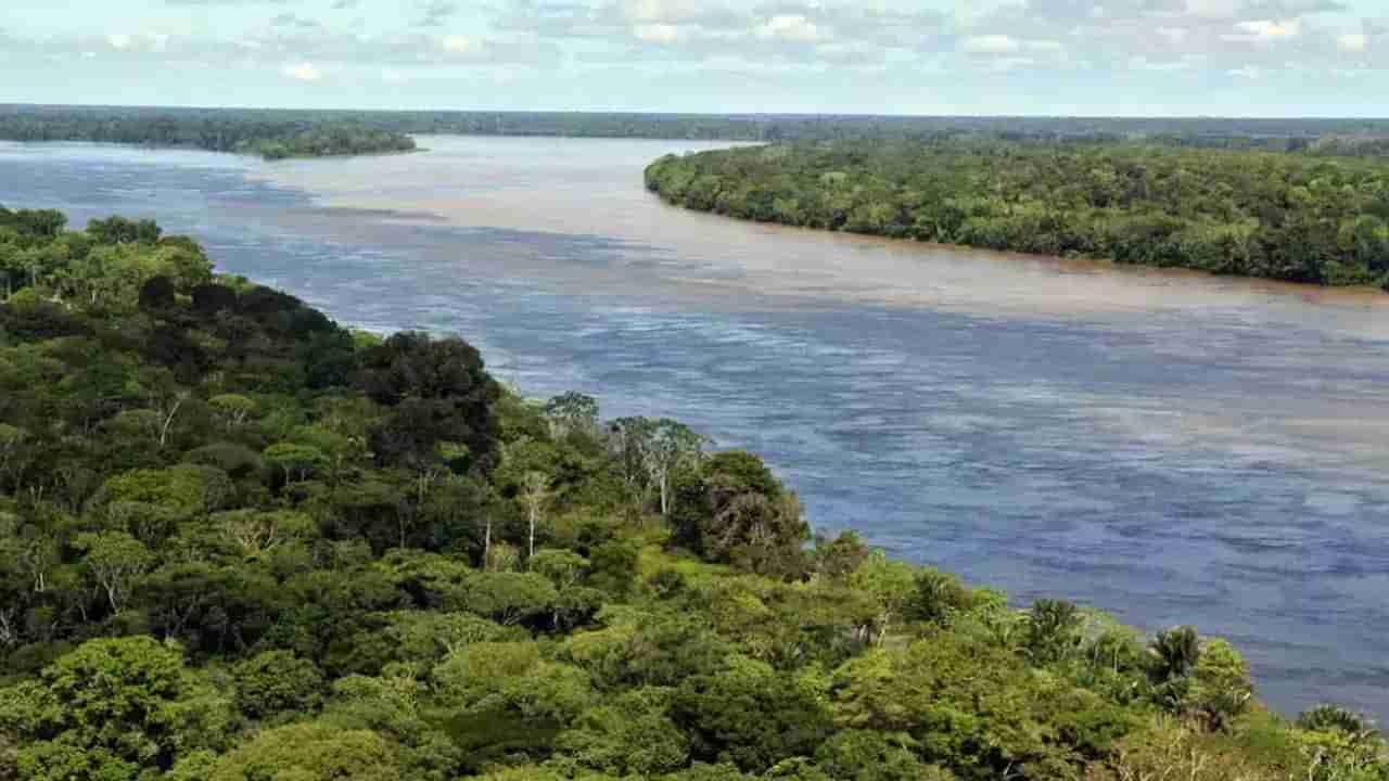 Amazon River: ఈ నది 9 దేశాల్లో ప్రవహిస్తుంది.. ఇప్పటి వరకూ ఒక వంతెన కూడా నిర్మించలేదు.. రీజన్ ఏమిటో తెలుసా..