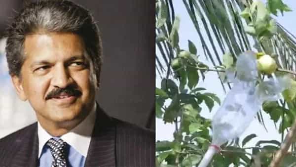 Viral Video: ఈ ఐడియా మాములుగా లేదుగా.. ఫిదా అయిన మహీంద్రా అధినేత.. వీడియో చూస్తే మీరు కూడా..