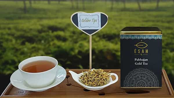 Assam Tea: అరుదైన బంగారం రంగులో తేయాకు.. ఈ టీపొడి కేవలం కిలో లక్ష రూపాయలు మాత్రమే..
