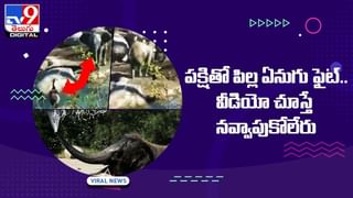 Viral Photo: ఈ ఫోటోలో మీరు మొదటిగా చూసేది.. మీ అతిపెద్ద భయం.. అదేంటో తెలుసుకోండి!