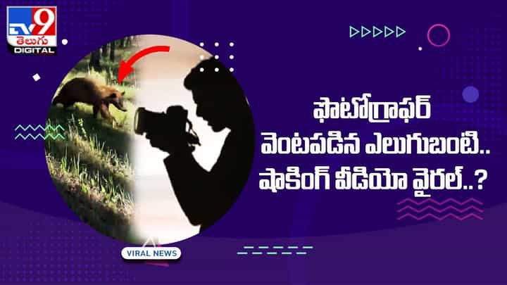 ఫొటోగ్రాఫర్ వెంటపడిన ఎలుగుబంటి !! షాకింగ్ వీడియో వైరల్ ఫొటోగ్రాఫర్ వెంటపడిన ఎలుగుబంటి !! షాకింగ్ వీడియో వైరల్