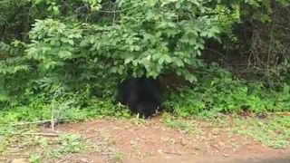 Andhra Pradesh: ఏపీలో ఘోర ప్రమాదం.. ఆటోపై తెగి పడిన హైటెన్షన్ వైర్.. 5 మంది సజీవ దహనం..