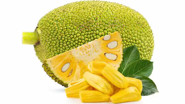 Jackfruit Benefits: అందుకే పనస పండు తినాలంటారు.. బీపీ నుంచి రక్తహీనత వరకు.. ఎన్నో సమస్యలకు..