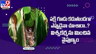 Viral Video: బావిలో నుంచి వింత శబ్ధాలు !! సీన్‌ కట్‌ చేస్తే !!