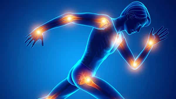 Bone Health Tips: ఈ మూడు ఆహార పదార్థాలు మీ ఎముకలను మరింత దృఢంగా మార్చేస్తాయి..!