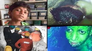 Viral Video: వేసవి ఉపశమనం కోసం ఆవులకు దాతల స్పెషల్ మెనూ.. 800 లీటర్ల మ్యాంగో జ్యూస్ వీడియో వైరల్..