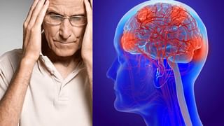 Mushrooms Beneficial: పుట్టగొడుగులు ఆరోగ్యానికి దివ్యౌషధం.. అనేక ప్రయోజనాలు