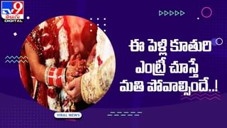 అల్లరి చేయడం లో కూడా క్రమశిక్షణ తప్పవు !! ఈ కోతులు ఏం చేశాయో చూస్తే..