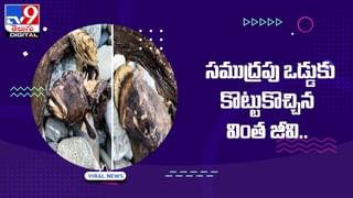 వామ్మో.. ఇది పెళ్లి పత్రికా.. వార్తా పత్రికా ?? ఏకంగా 900 కుటుంబాల పేర్లు !!