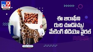 Viral Video: పగపట్టిన పక్కింటోళ్ల కుక్క.. చివరికి ఏమైందంటే ??