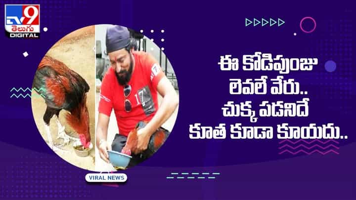 ఈ కోడిపుంజు లెవలే వేరు.. చుక్క పడనిదే కూత కూడా కూయదు.. ఈ కోడిపుంజు లెవలే వేరు.. చుక్క పడనిదే కూత కూడా కూయదు..