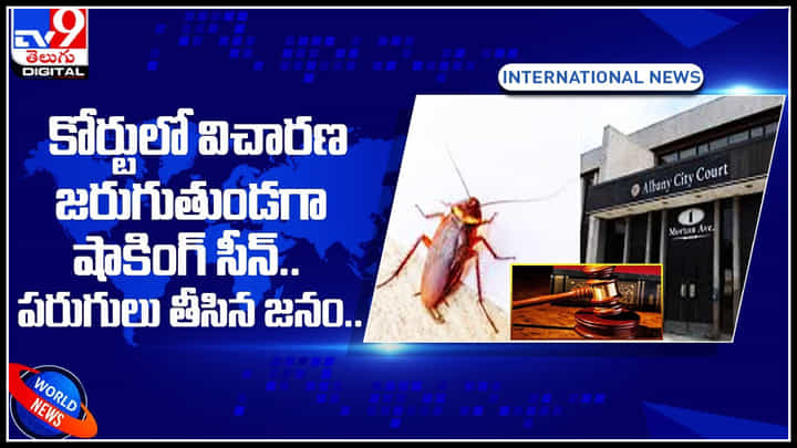 కోర్టులో కేసు విచారణ జరుగుతుండగా షాకింగ్ సీన్.. భయంతో పరుగులు తీసిన జనం కోర్టులో కేసు విచారణ జరుగుతుండగా షాకింగ్ సీన్.. భయంతో పరుగులు తీసిన జనం