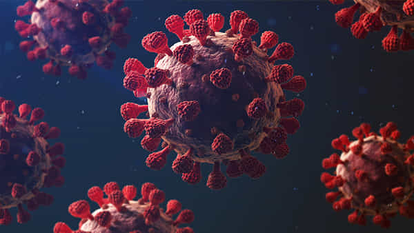 Coronavirus: ఒమిక్రాన్ బారిన పడి కోలుకున్న వారికి ఉపశమనం.. పరిశోధనల్లో తేలిన ఆసక్తికర విషయాలు..