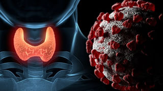 Lungs Infection: ఈ లక్షణాలు కనిపిస్తే.. ఊపిరితిత్తులు డేంజర్‌లో పడుతున్నట్లు లెక్క..