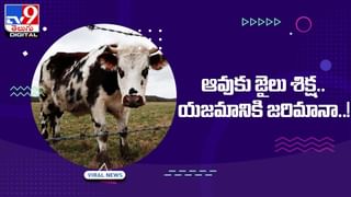 Viral Video: యజమానికి చిలుక వార్నింగ్‌ !! కత్తి చేతపట్టుకొని సీరియస్‌ వార్నింగ్‌