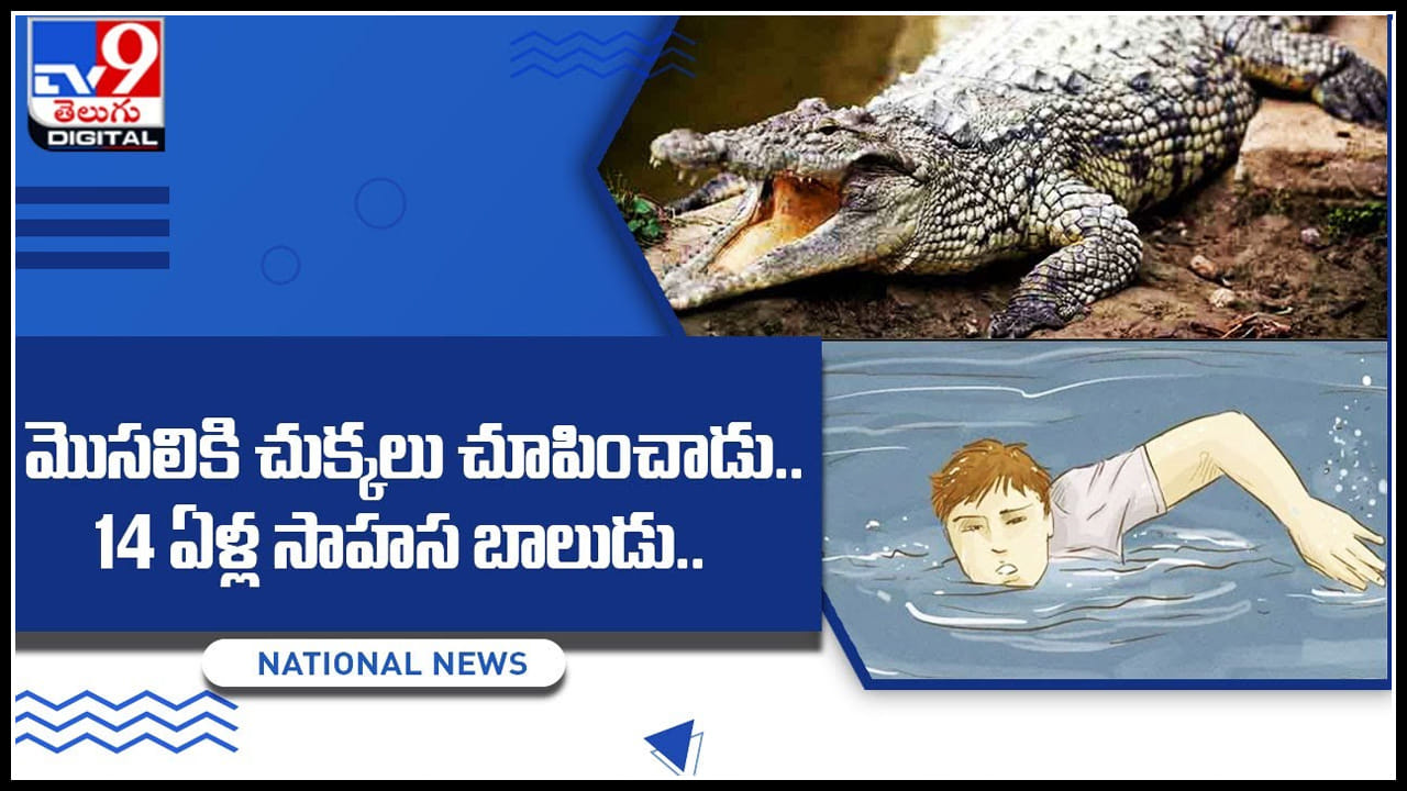 Crocodile vs boy: మొసలికి చుక్కలు చూపించాడు .. 14 ఏళ్ల సాహస బాలుడు.. వైరల్ వీడియో.. Crocodile vs boy: మొసలికి చుక్కలు చూపించాడు .. 14 ఏళ్ల సాహస బాలుడు.. వైరల్ వీడియో..