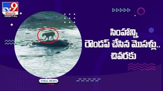 Viral News: రొటీన్ వర్క్ .. ఉద్యోగం బోరు కొడుతోందని ఏడాదికి రూ.3.5 k కోట్ల జీతం వస్తున్న ఐటీ జాబ్‌కి గుడ్ బై..