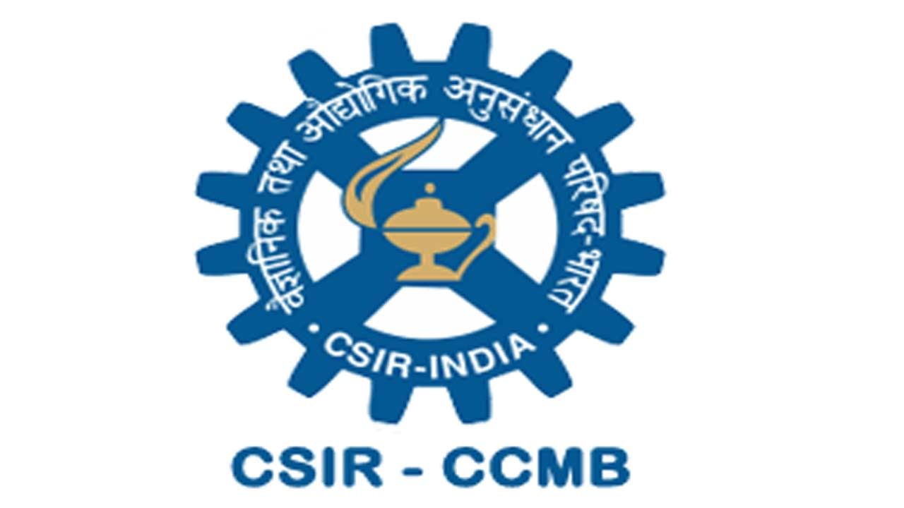 CCMB Hyderanbad Recruitment 2022: నెలకు రూ.78,000ల జీతంతో.. హైదరాబాద్‌లోని సీసీఎమ్‌బీలో ప్రాజెక్ట్‌ స్టాఫ్‌ ఉద్యోగాలు..