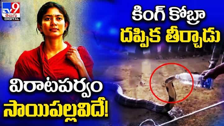Digital News Round Up: విరాటపర్వం సాయిపల్లవిదే! | కింగ్ కోబ్రా దప్పిక తీర్చాడు ..లైవ్ వీడియో Digital News Round Up: విరాటపర్వం సాయిపల్లవిదే! | కింగ్ కోబ్రా దప్పిక తీర్చాడు ..లైవ్ వీడియో