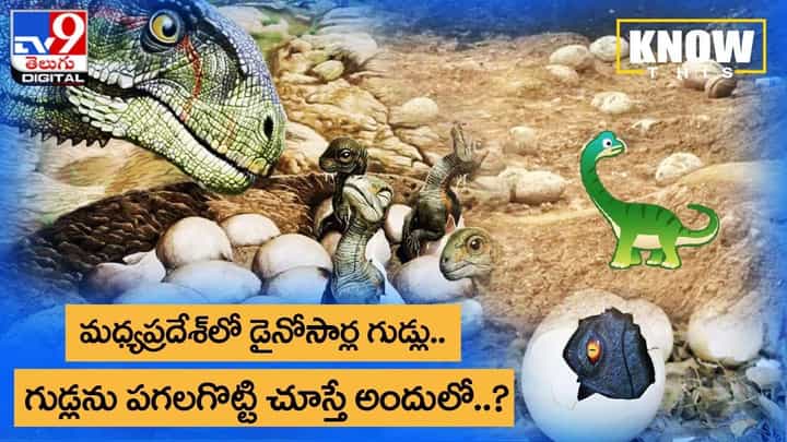 Dinosaur Eggs: మధ్యప్రదేశ్లో బయటపడ్డ డైనోసార్ల గుడ్లు..గుడ్లను పగలగొట్టి చూస్తే అందులో ఏముందో తెలుసా ?? Dinosaur Eggs: మధ్యప్రదేశ్లో బయటపడ్డ డైనోసార్ల గుడ్లు..గుడ్లను పగలగొట్టి చూస్తే అందులో ఏముందో తెలుసా ??
