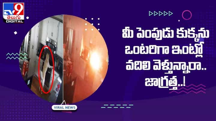 మీ పెంపుడు కుక్కను ఒంటరిగా ఇంట్లో వదిలి వెళ్తున్నారా ?? అయితే జాగ్రత్త !! మీ పెంపుడు కుక్కను ఒంటరిగా ఇంట్లో వదిలి వెళ్తున్నారా ?? అయితే జాగ్రత్త !!