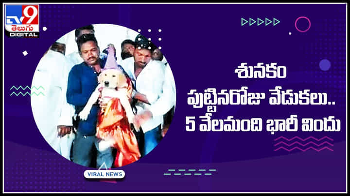 Dog Birthday: శునకం పుట్టినరోజు వేడుకలు.. 5 వేలమంది భారీ విందు.. చుస్తే ఓ మై డాగ్ అనాల్సిందే.. Dog Birthday: శునకం పుట్టినరోజు వేడుకలు.. 5 వేలమంది భారీ విందు.. చుస్తే ఓ మై డాగ్ అనాల్సిందే..