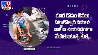 వామ్మో ఇదెక్కడి గుండె ధైర్యం సామీ.. 100 అడుగుల ఎత్తులో ఊహించని ట్విస్ట్ !!