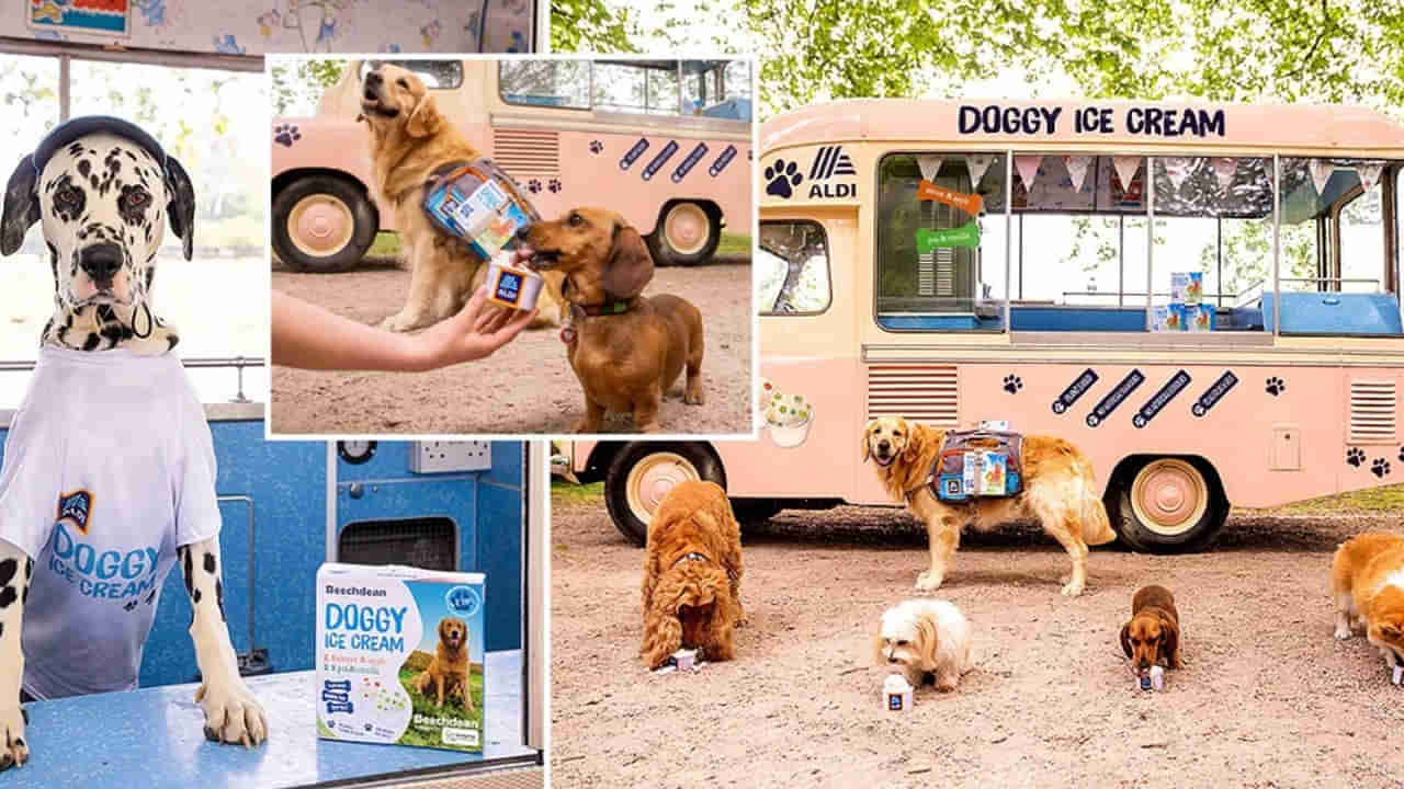 Dog Ice Cream: వేసవి నుంచి ఉపశమనం కోసం కుక్కలకు స్పెషల్ ఐస్ క్రీమ్.. శునకాలే డెలివరీ.. ఎక్కడంటే..