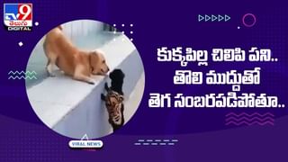 ‘పెళ్ళై రెండేళ్లయినా భర్త అందుకు దూరంగా ’ కోర్టుకెక్కిన మహిళ.. సీన్ కట్ చేస్తే !!