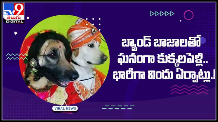 Dog marriage: బ్యాండ్ బాజాలతో ఘనంగా కుక్కలపెళ్లి.. భారీగా విందు ఏర్పాట్లు.! Dog marriage: బ్యాండ్ బాజాలతో ఘనంగా కుక్కలపెళ్లి.. భారీగా విందు ఏర్పాట్లు.!