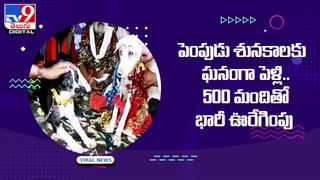 Viral Video: పెళ్లి కొడుకు అమితానందం..స్టేజ్‌పైనే వధువుపై !!